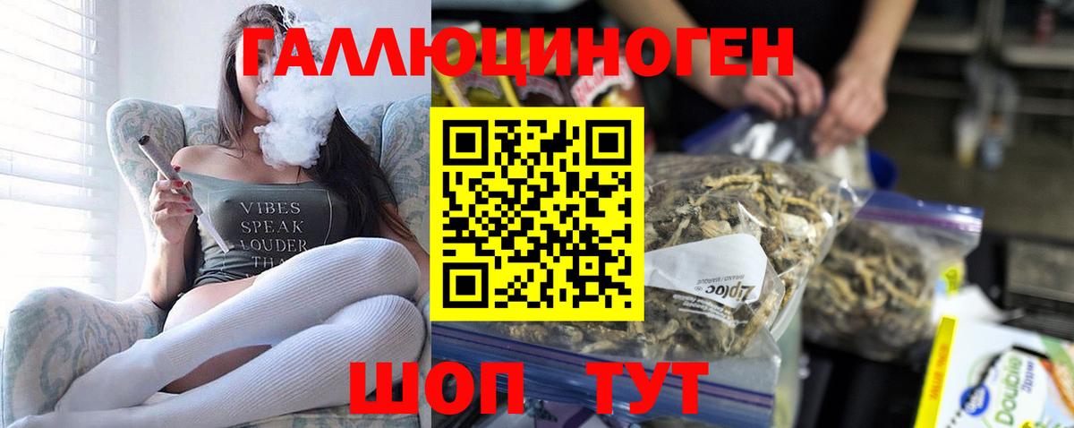 Топки  Галлюциногенные грибы Psilocybe  Вход с VPN 